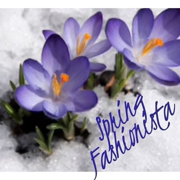 Free Shipping  - Picture 2 of 2